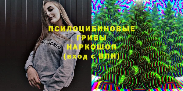 МДПВ Алексин